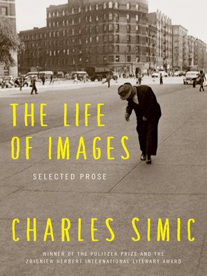 cover image of The Life of Images